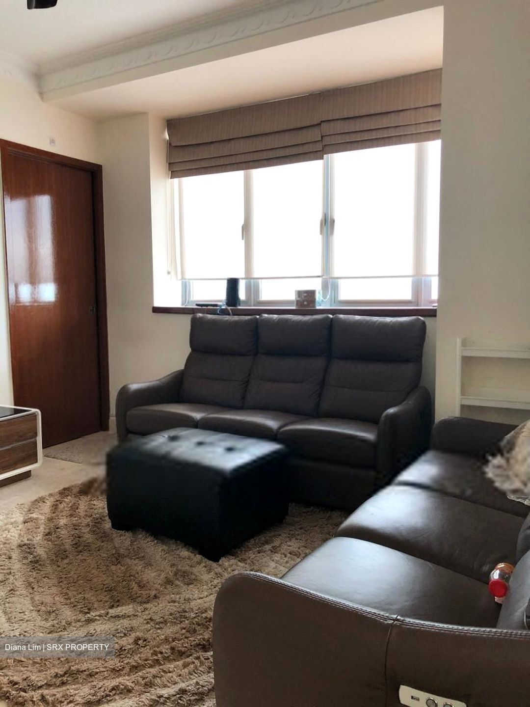 Park Infinia At Wee Nam (D11), Condominium #620079451